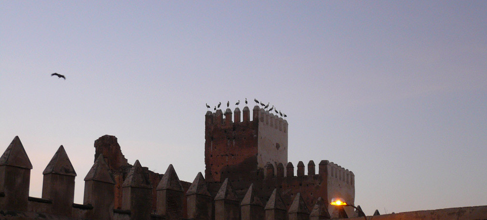 Nuestra selección de monumentos en Fez